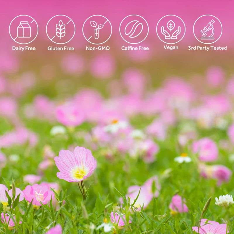 Evening Primrose Oil Capsules for Skin and Cardiovascular Health Support